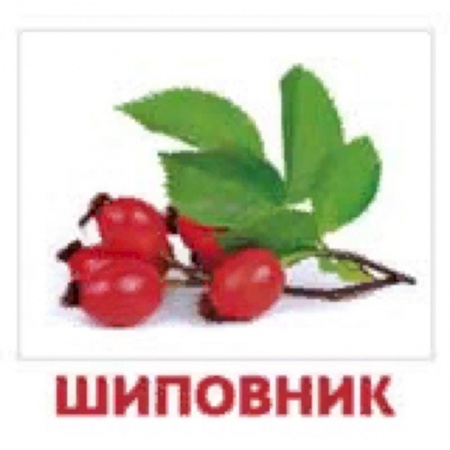 Развитие общих способностей, книга Комплект карточек 'Ягоды' купить по скидке