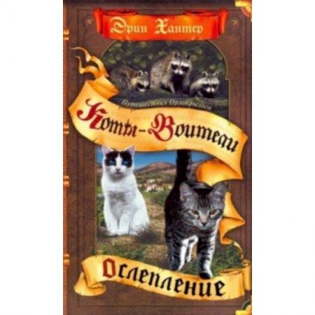 Мистика. Фантастика. Фэнтези, книга Ослепление купить по скидке