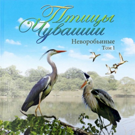 Зоология, книга Птицы Чувашии. Неворобьинные. Том 1 купить по скидке