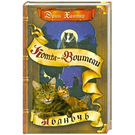 Книги, книга Полночь купить по скидке