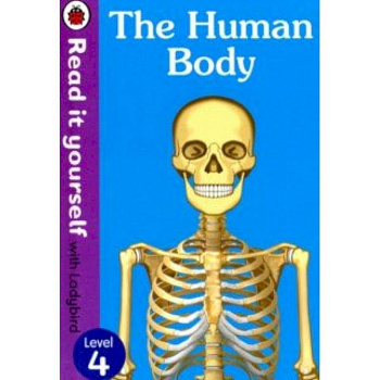 The Human Body