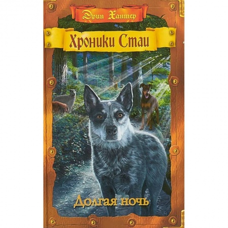 Мистика. Фантастика. Фэнтези, книга Долгая ночь купить по скидке