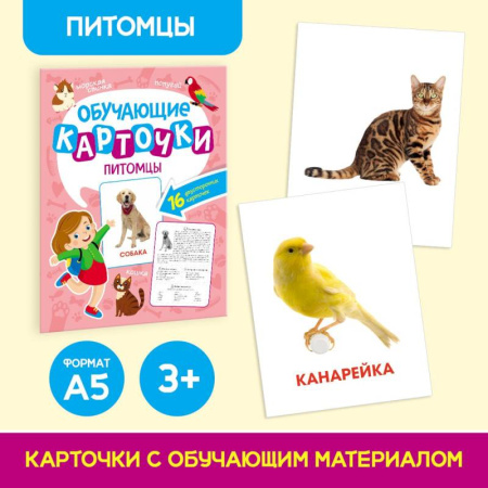 Книги для дошкольников (4-6 лет), книга Питомцы. 16 двусторонних карточек купить по скидке