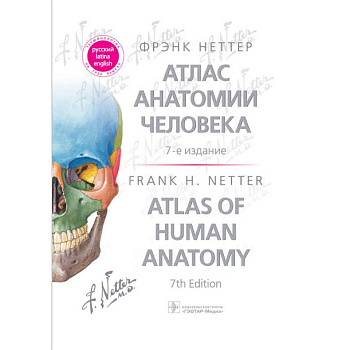 Атлас анатомии человека: терминология на русском, латинском и английском языках