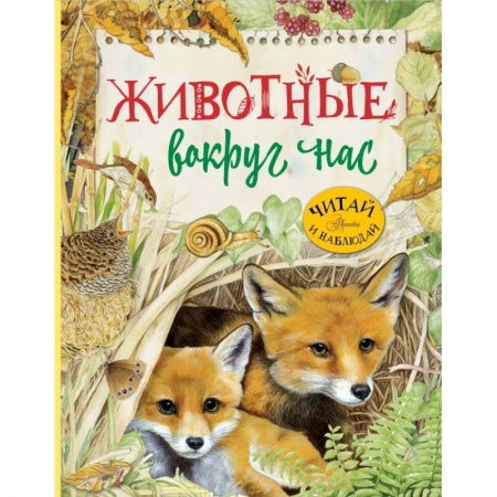 Животный и растительный мир, книга Животные вокруг нас купить по скидке