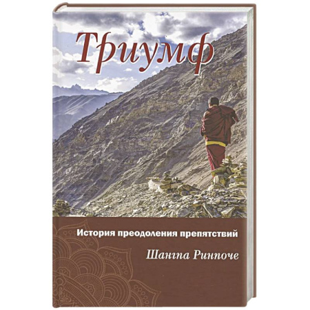 Мемуары, биографии, книга Триумф. История преодоления препятствий купить по скидке