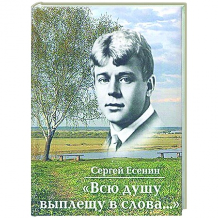 Русская поэзия, книга Всю душу выплещу в слова... купить по скидке